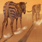 Thumb F�nf Zebras im Sonnenuntergang